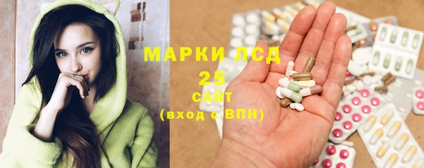 PSILOCYBIN Лихославль