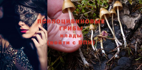 прущие крисы Лиски