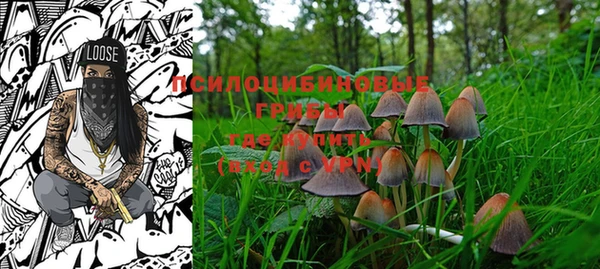 PSILOCYBIN Лихославль
